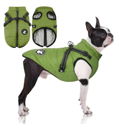 Produktbild von Hundemantel Wasserdicht Warm mit Geschirr Französische Bulldogge Kleine Hunde Grün Größe 10