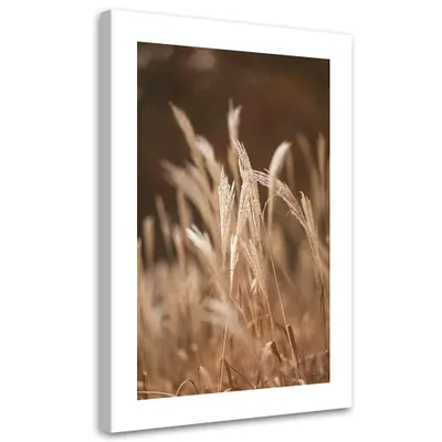 Produktbild von Leinwandbild Trockenes Gras auf einer Wiese 40x60 Feeby Beige bild für die wand bereit zum aufhängen
