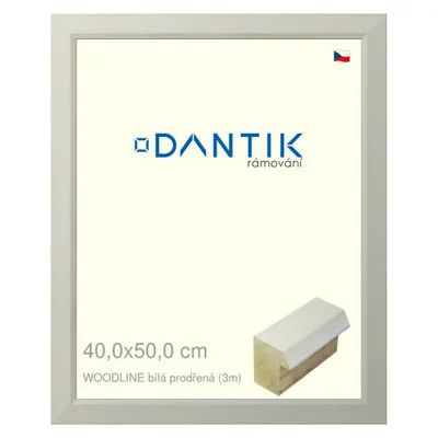 Obrázok produktu pre Rám DANTIK 40x50 | WOODLINE biely dierovaný (sklo číre)