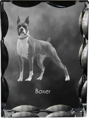 Image de Boxer III - cristal avec photo de chien, statuette en verre avec photo, cadre unique avec photo de la marque Art-Dog