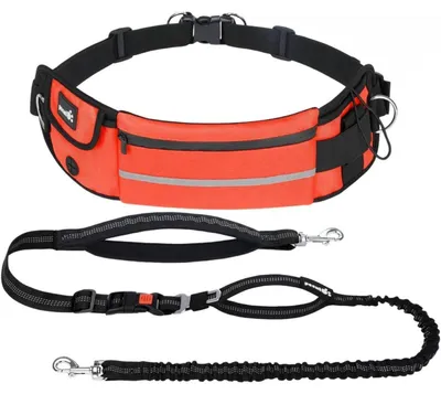 Productafbeelding van Oranje jogginglijn voor honden met buikriem, elastisch, met tas aan de riem, geschikt tot 100 kg