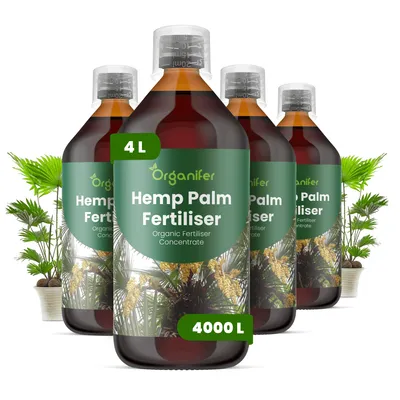 Produktbild von Hanfpalme Flüssigdünger 4x1L – 2-1-8 NPK – Flüssig-Pflanzendünger für Hanfpalmen – Organifer
