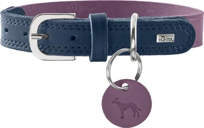 Image de Collier Hunter Lemvig violet/bleu foncé