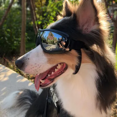 Produktbild von Wasserdichte Hundebrille Sonnenbrille Anti-Uv-Schutz Augen Sonnenbrille Haustierbedarf-Schwarz