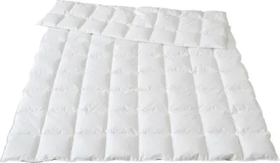Produktbild von Traumina Bettdecke Plume Bio Daune leichte Sommerdecke Wärmeklasse 2 Größe 200x200 cm