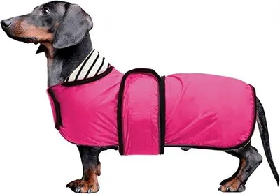 Produktbild von Stylische Regenjacke für Hunde mit reflektierenden Streifen, wasserdicht und mit verstellbarem Brustgurt