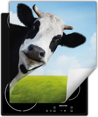 Produktbild von DarHaus Herdabdeckplatte 45x52 cm Anti Rutsch Matte Aufrollbar, Kuh