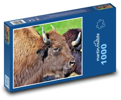 Zdjęcie produktu dla Puzzle 1000 Bizón - majestatyczne zwierzę - martinpuzzle