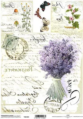 Immagine prodotto di ITD carta transfer per decoupage CLASSIC A4 T60-023 Heather meadow
