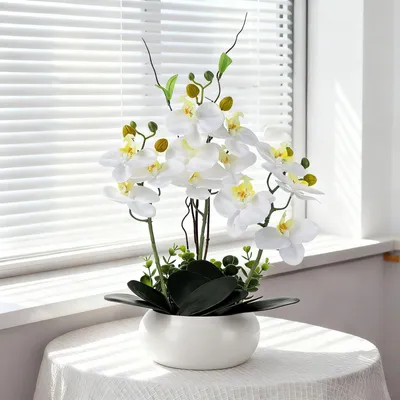 Kunstorchidee Phalaenopsis, weiß, 36 cm, in Keramiktopf