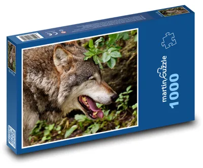 Obrázok produktu pre Puzzle 1000 Vlk v Zelenom Lese - martinpuzzle