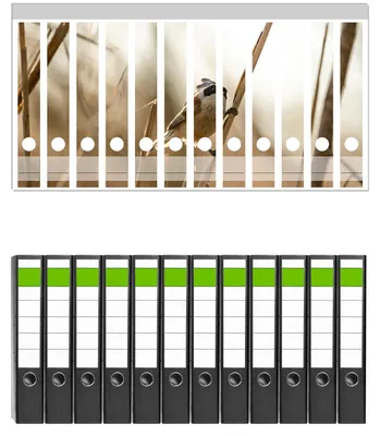 Produktbild von Wallario 12 Stück schmale Ordner inkl. Klebeetiketten mit Motive Vogel im Schilf - Set mit Rückenschildern / Ordnerrücken Stickern