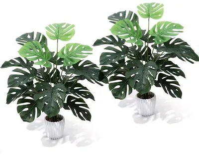 Image de Lot de 2 plantes artificielles de 70 cm pour la décoration de la salle de bain et de la cuisine