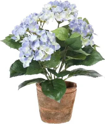 Produktbild von Emerald Künstliche Hortensie - Sylvia | 37 cm, für drinnen, Kunstblume, wie echt, Allergiker geeignet, pflanzliche Dekoration Praxis, Office & Wohnzimmer