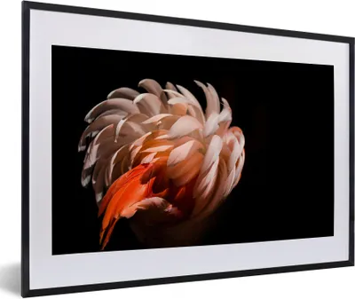Produktbild von MuchoWow® Gerahmtes Poster Flamingo - Federn - Licht - Makro 60x40 cm - Poster mit Schwarzem Bilderrahmen Wandposter Rahmen Foto Bilder - Schlafzimmer - Plakat in Rahmen - Drucken