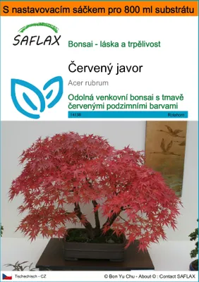 Obrázek produktu pro SAFLAX Garden in the bag - červený javor - Acer rubrum - 20 Semena - S pěstebním substrátem v praktickém samovztyčovacím sáčku