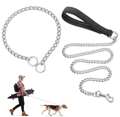 Image de Collier d'entraînement pour chiens avec laisse en métal - Collier anti-traction pour chiens de taille moyenne et grande