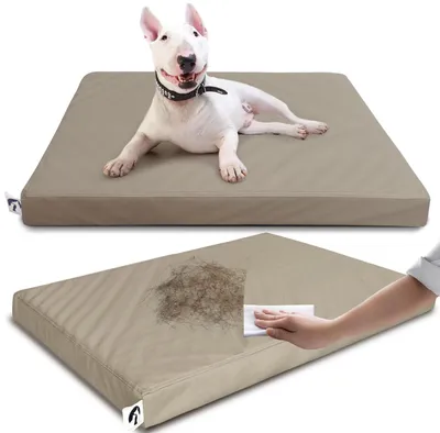 Hundebett, wasserdicht, haarbeständig, abnehmbarer Bezug, mittelgroß, Braun