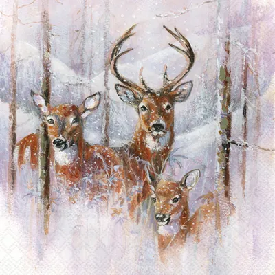 Produktbild von RP 20 Servietten Wilderness Stag - Verschneite Hirschfamilie 33x33cm