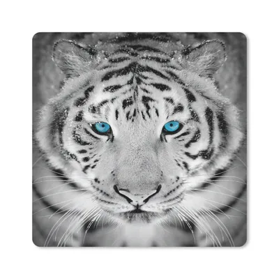 Produktbild von MuchoWow® Mauspad Mousepad Tiere - Tiger - Augen - Blau - Schwarz und weiß 20x20 cm - Mousepads - Maus Mat - Pad - Mausunterlage - Desk Mat - Bureauartikeln