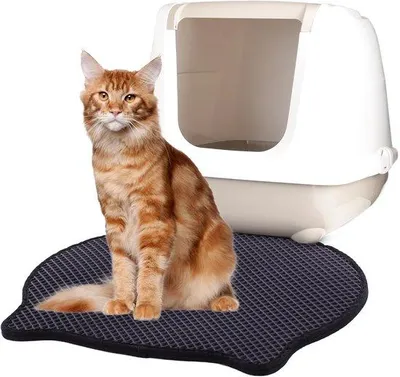 Produktbild von Famanu Katzenstreuauffangmat mit doppeltem Design - wasserfeste Unterseite und rutschfester Rückseite - leicht zu reinigende Matte für Katzenstreu -