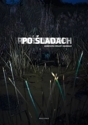 Produktbild von Po sladach
