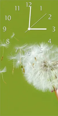 Produktbild von Wallario Design Wanduhr bedruckt, Größe 30 x 60 cm, Motiv: Pusteblume auf der Wiese mit fliegenden Samen