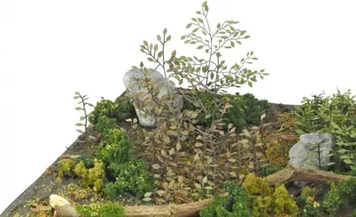 Produktbild von Matho Models 35037 - 1:35 Plants & Weeds C - Neu