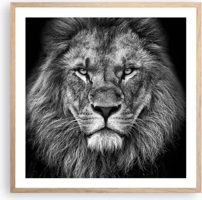 Produktbild von Gerahmtes Poster - Rahmen in heller Eiche - Porträt Löwe Schwarzweiß - 60x60 cm - Wand Bild - Wanddeko - Wandbilder - Kunstposter - Wandposter - Bilderrahmen - Bilder - Kunstdruck - P2NAC60x60-4494