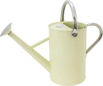 Produktbild von Vintage Gießkanne aus verzinktem Stahl für die tägliche Bewässerung, klassischer englischer Stil mit 2 Griffen, 4,5 l