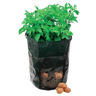 Produktbild von Kartoffel Pflanzsack 360 x 510 mm