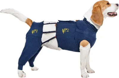 Immagine prodotto di Copertura protettiva post-operatoria per le zampe posteriori del cane