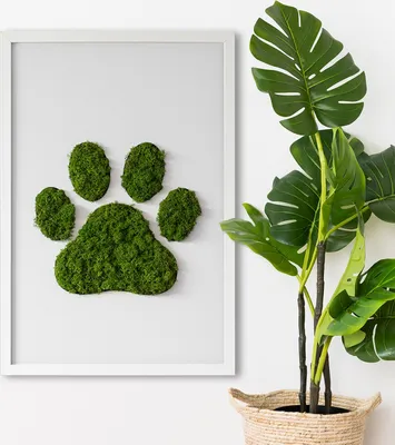 Produktbild von Moosbild mit Echtem Isländisch Moos - 40x60 cm - Weißer MDF-Rahmen - Fußabdruck