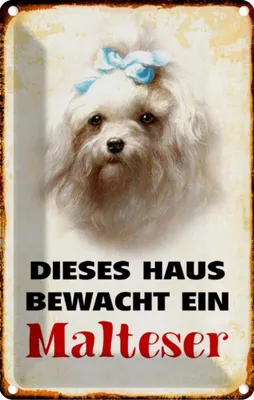 Produktbild von vianmo Blechschild 18x12 cm Hund dieses Haus bewacht ein Malteser Tier Haustier