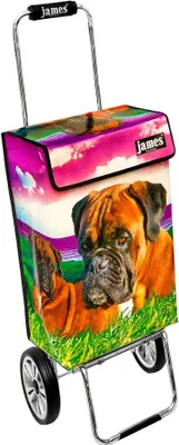 Produktbild von James Einkaufstrolley - BOXER - stabiler Einkaufswagen mit individuellem Design - einfarbig: braun in Ausführung: Chrome19