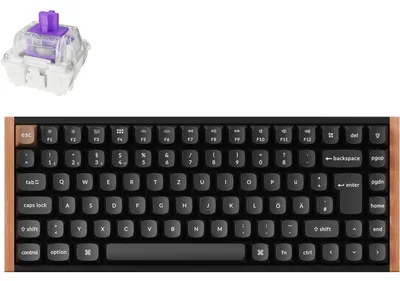 Image de Keychron K2 HE Knob 75% Alu RGB Gateron Magnetic bk H