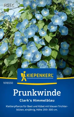 Produktbild von Kiepenkerl Prunkwindensamen Clark's Himmelblau Ipomoea tricolor 20 Pflanzen