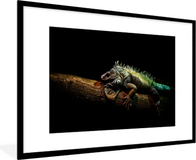 Produktbild von MuchoWow® MuchoWow® Gerahmtes Poster Tier - Zweig - Schwarz 90x60 cm - Poster mit zchwarzem Bilderrahmen - Wanddekoration - Fotos