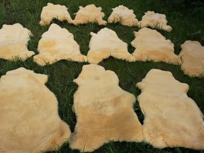 Immagine prodotto di TOP VERA MED. PELLICCIA DI LAMBINO RELUGAN fino a 140cm affare 120-130cm lunghezza