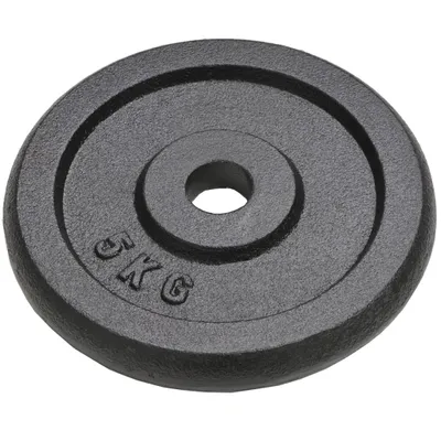 Immagine prodotto di vidaXL Piastre per pesi 4 pezzi 4x5 kg in ghisa