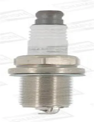 Produktbild von CHAMPION Zündkerze Platin für RENAULT Clio III Schrägheck (BR0/1, CR0/1) Industrial OE225