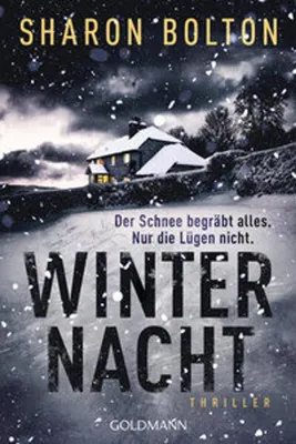 Image de Nuit d'hiver - La neige enterre tout. Sauf les mensonges