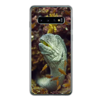 Produktbild von MuchoWow® Handyhülle Schutzhülle Hülle für Samsung Galaxy S10 Fische - Korallen - Ozean Silikon Softcase Handy Hülle - Handytasche