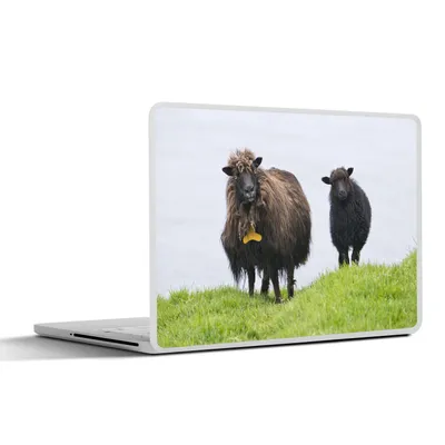 Produktbild von MuchoWow® Laptop Aufkleber Sticker Cover Schafe - Braun - Meer 30x22 cm - Laptop-Sticker