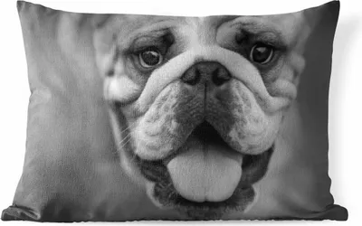 Produktbild von MuchoWow® Outdoor Kissen - Tierprofil Bulldogge in schwarz und weiß - 50x30 cm - Wetterfest - Lounge Kissen - Sofa kissen - Wohnzimmer Dekoration