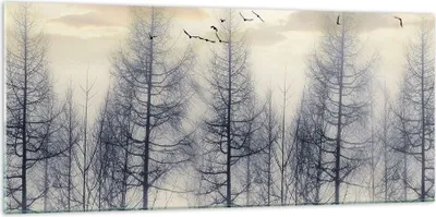 Produktbild von Bilder auf glas - Einteilig - Bäume Vögel Himmel - 120x50cm - Glasbilder - Wandbilder - Bilder - zum Aufhängen bereit - Wanddekoration aus Glas - Glas Bilder - Wandbild auf Glas - GAB120x50-4546