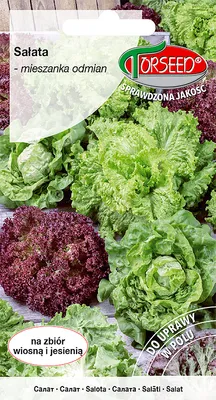 Produktbild von Saatgut Salatmischung 1g - Torseed