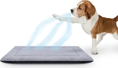 Image de Tapis odorant pour animaux domestiques - 65cm x 80cm