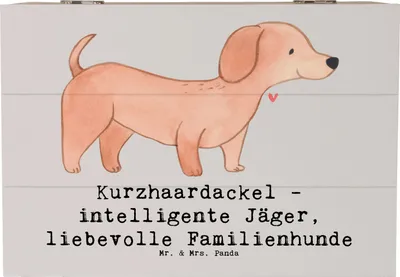 Produktbild von Mr. & Mrs. Panda Kiste Kurzhaardackel Liebe 22 x 15 cm - Grau Pastell - Geschenk, Herzensbrecher, Hunderassen Beschreibung, fotobox, Hund, Pflege, Dackel Eigenschaften