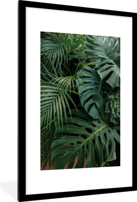 Produktbild von MuchoWow® MuchoWow® Gerahmtes Poster Pflanzen - Dschungel - Blätter - Tropisch 60x90 cm - Poster mit zchwarzem Bilderrahmen - Dekoration - Wandposter Wohnzimmer - Hochwertig